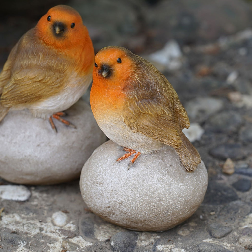 Robin on Stone Pair Resin Statue
