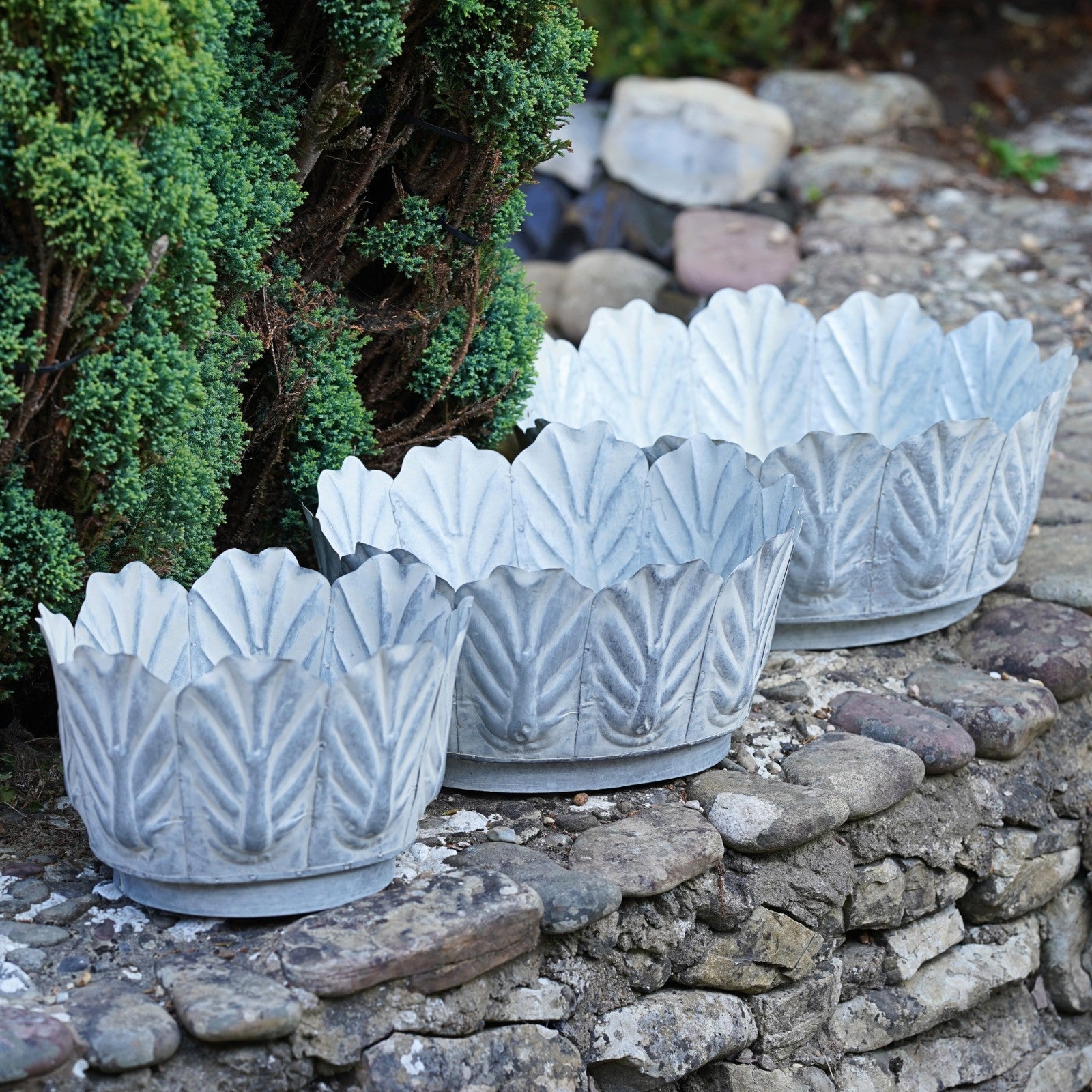 Galvanised Metal Leaf Planters