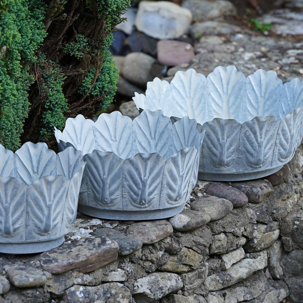 Galvanised Metal Leaf Planters