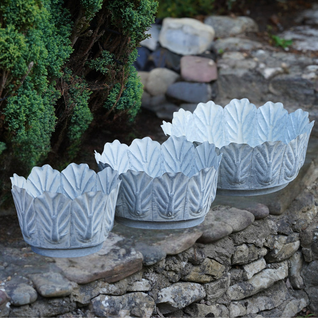 Galvanised Metal Leaf Planters
