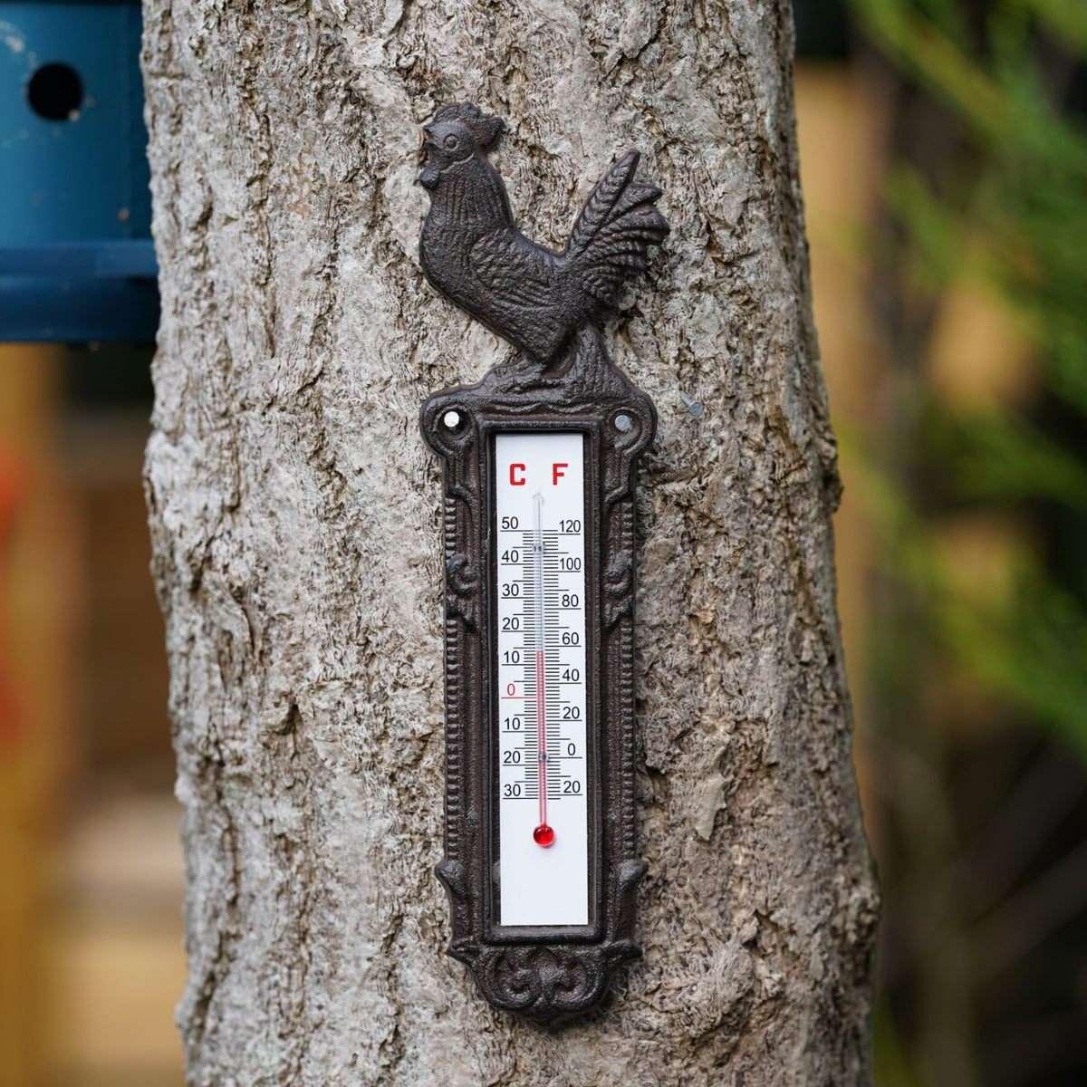 Cast Iron Cockerel Wall Thermometer