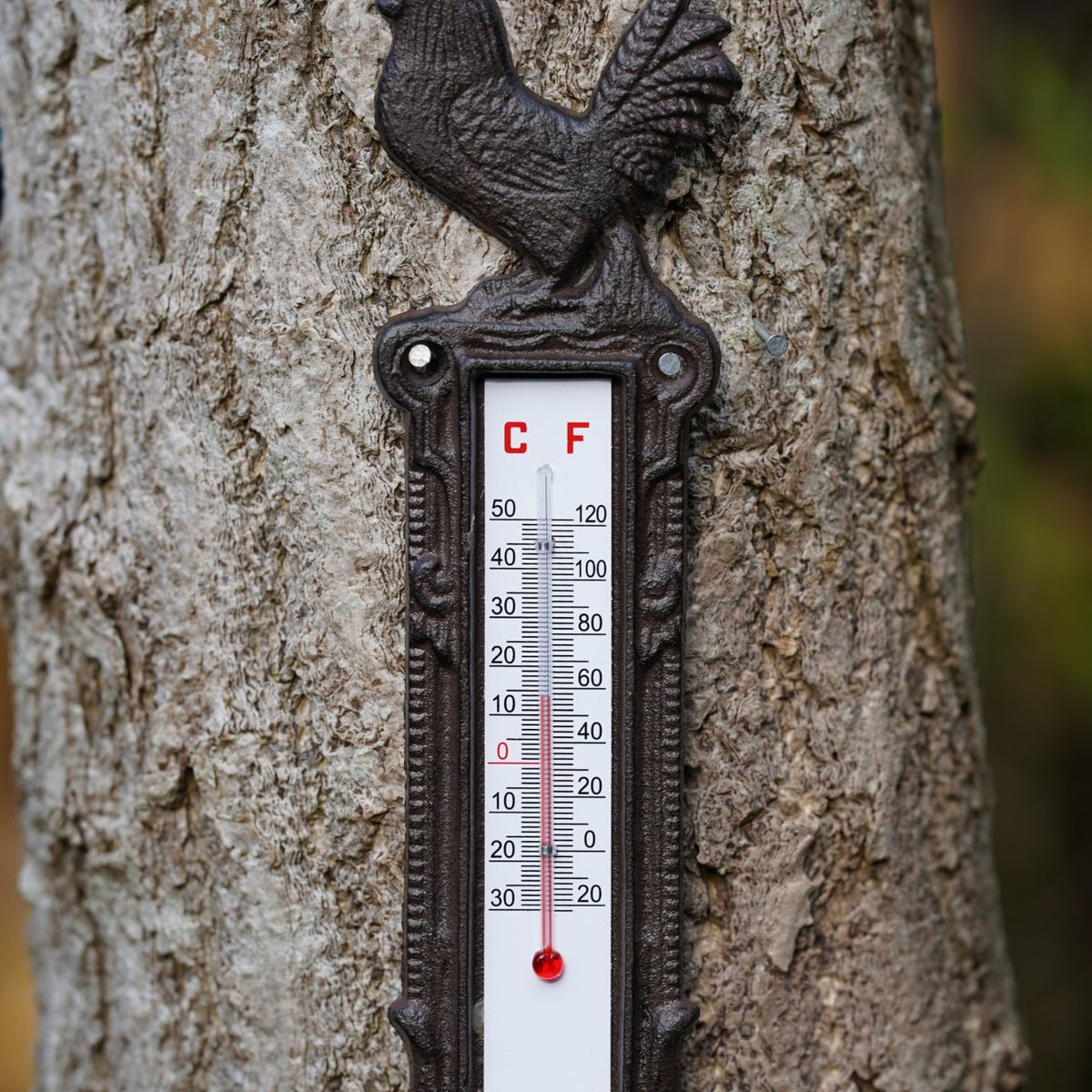 Cast Iron Cockerel Wall Thermometer
