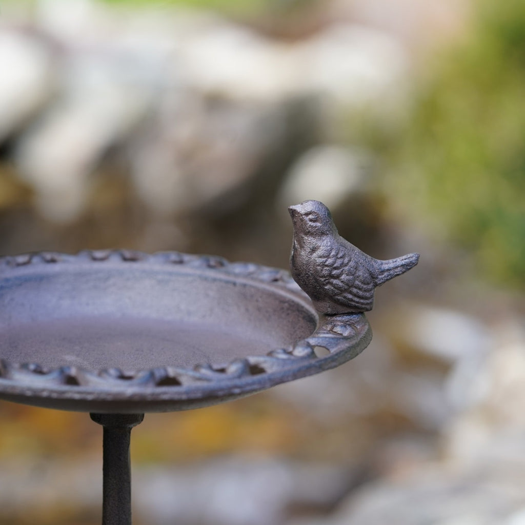 Cast Iron Bird Feeder Bath Large Pedestal