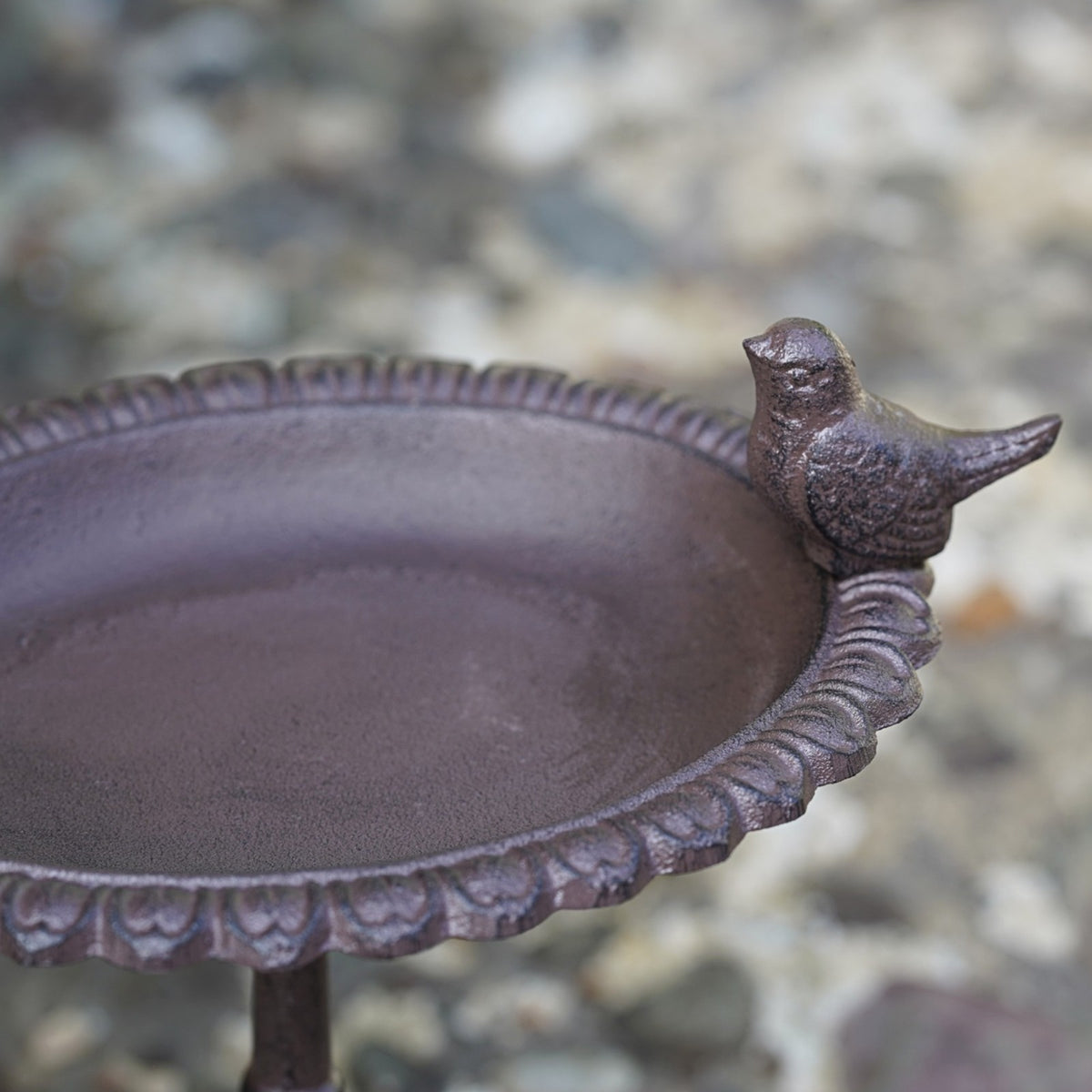 Cast Iron Large Bird Bath Feeder