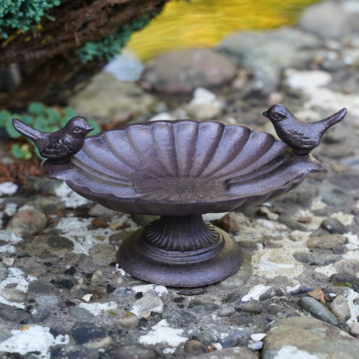 Cast Iron Bird Bath Feeder Dish