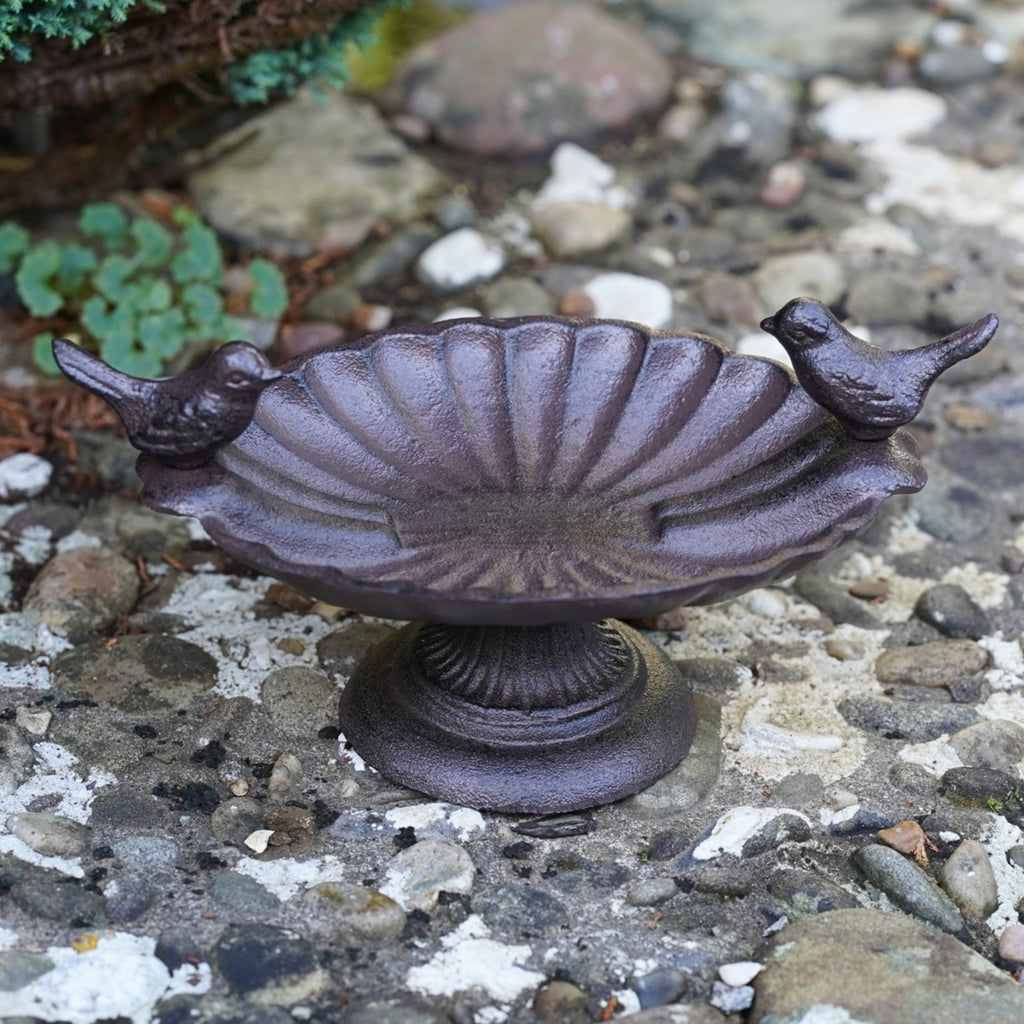 Cast Iron Bird Bath Feeder Dish