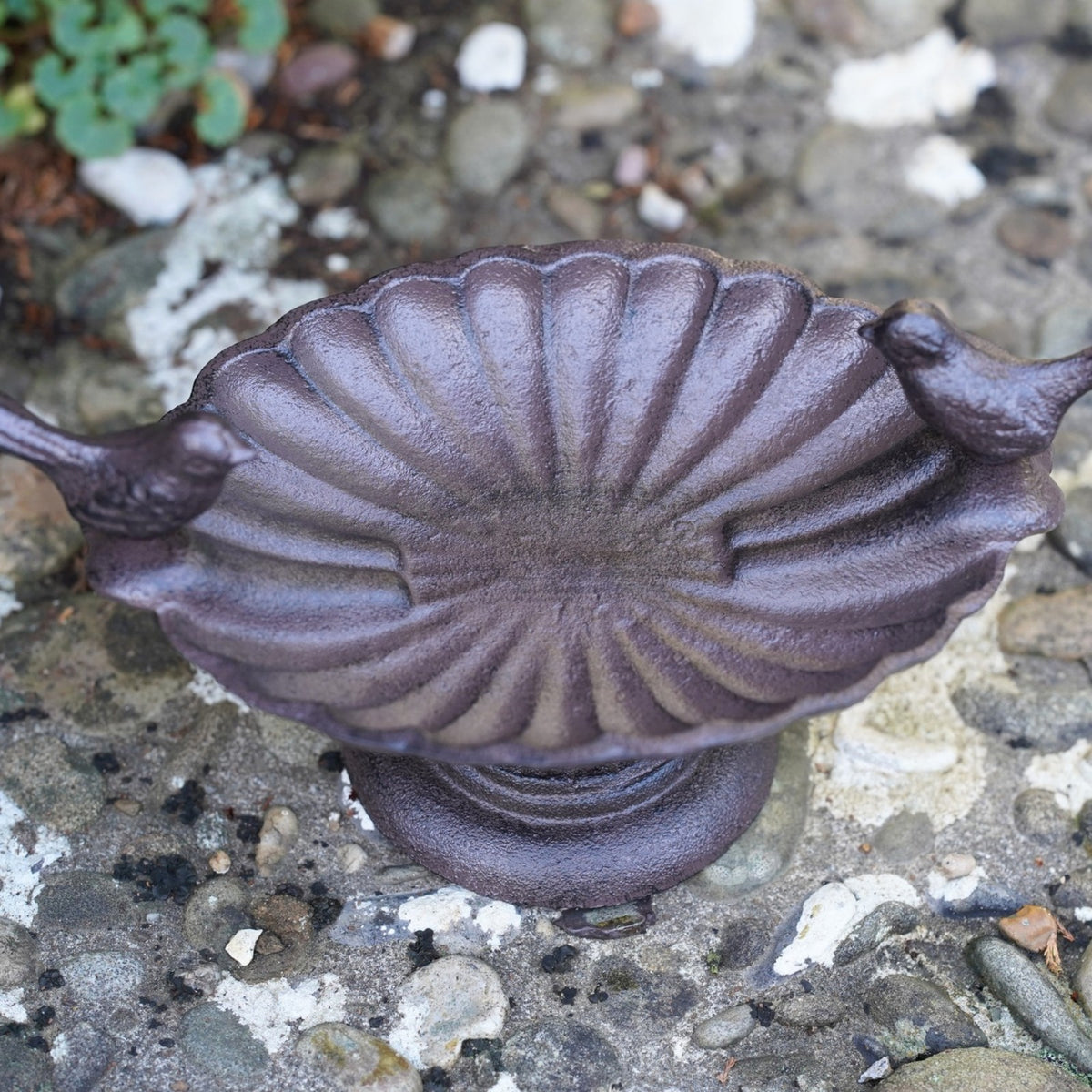 Cast Iron Bird Bath Feeder Dish
