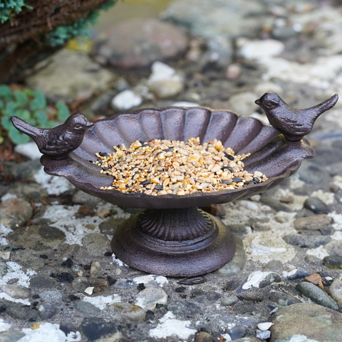 Cast Iron Bird Bath Feeder Dish