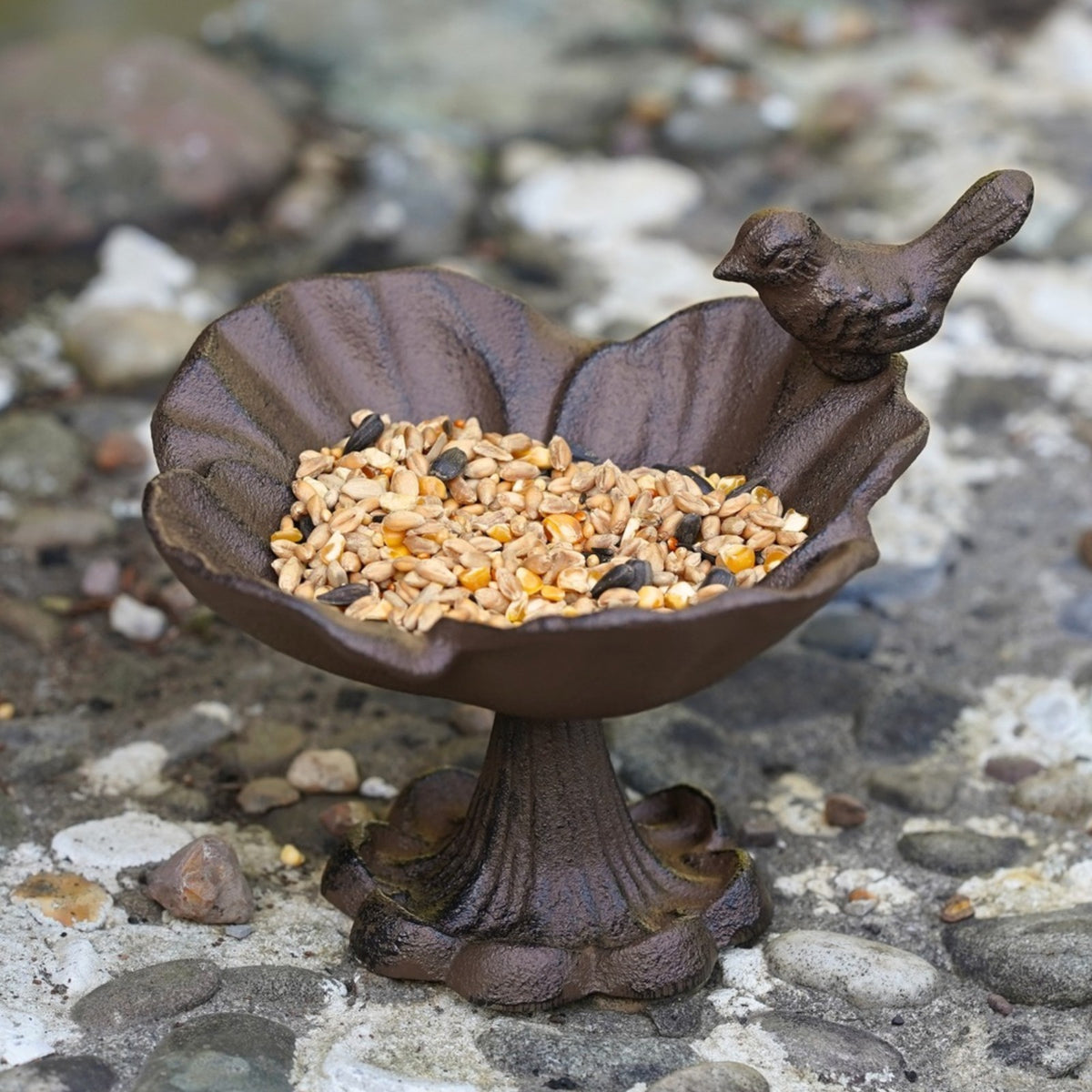 Cast Iron Bird Bath Feeder Floral Shell