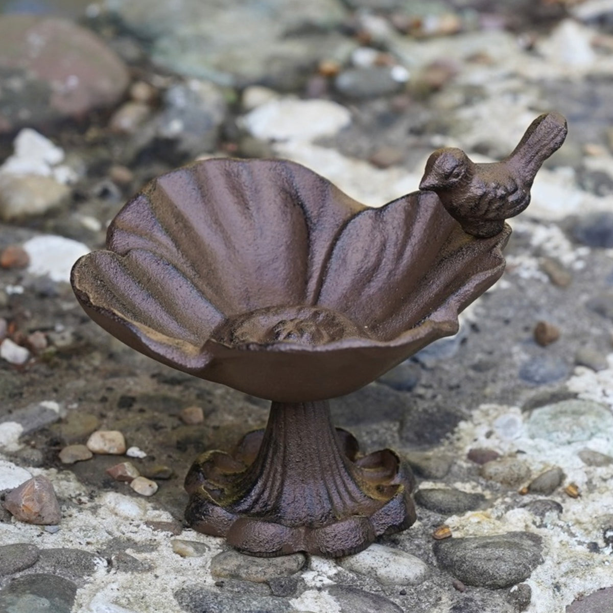 Cast Iron Bird Bath Feeder Floral Shell