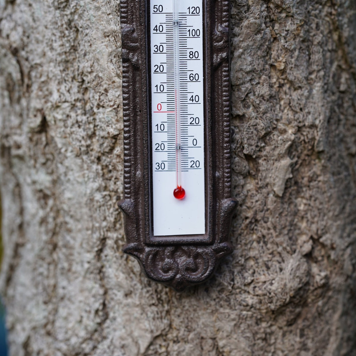 Cast Iron Butterfly Garden Wall Thermometer