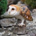 Watchful Barn Owl Resin Garden Statue