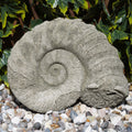 Ammonite Fossil Statue Thick