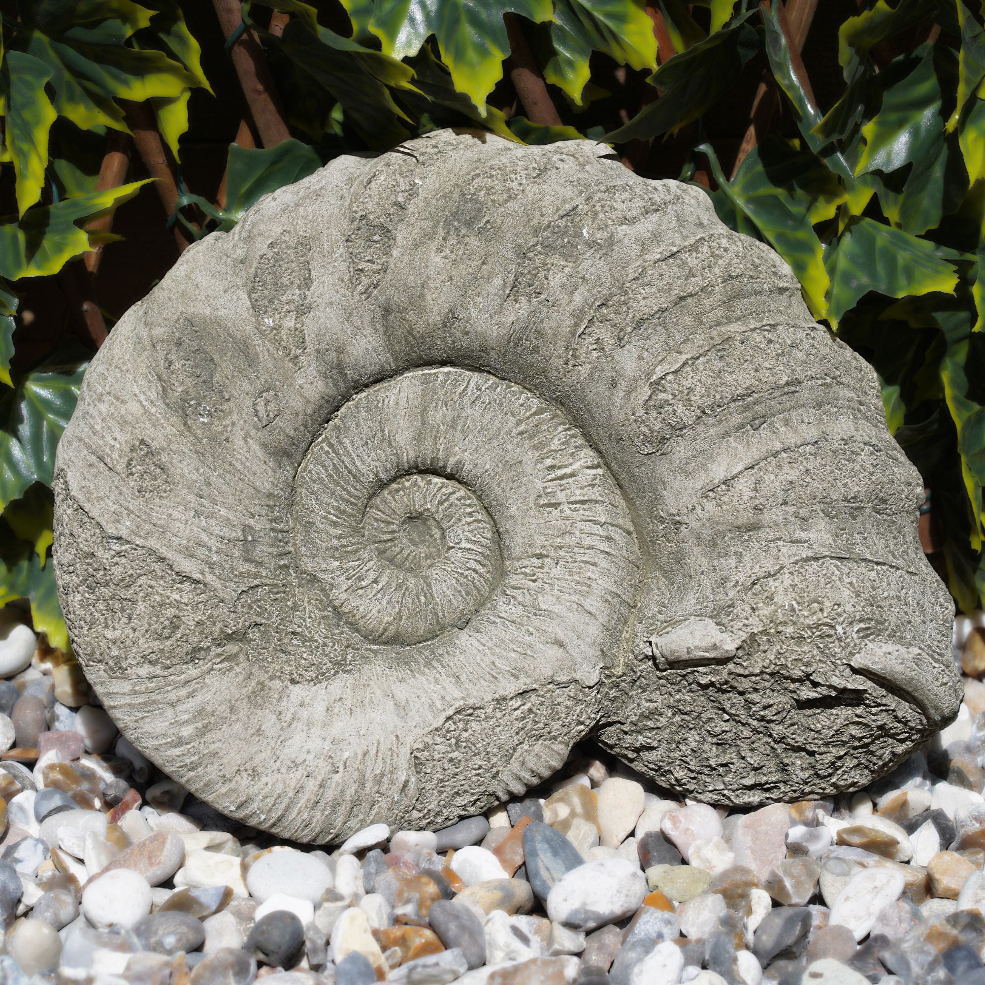 Ammonite Fossil Statue Thick