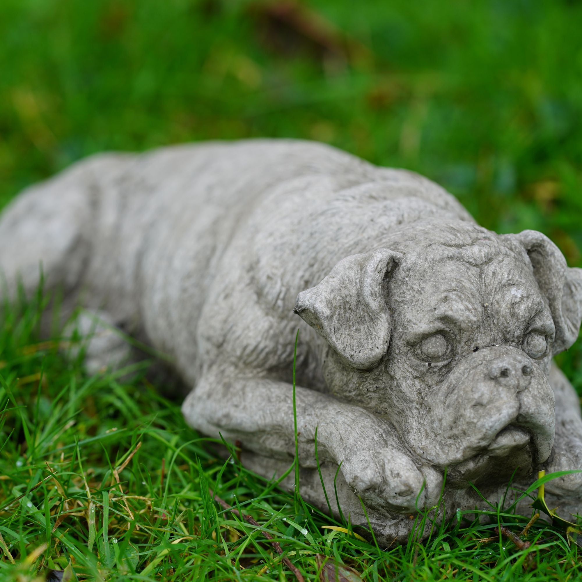 Boxer Dog Stone Statue
