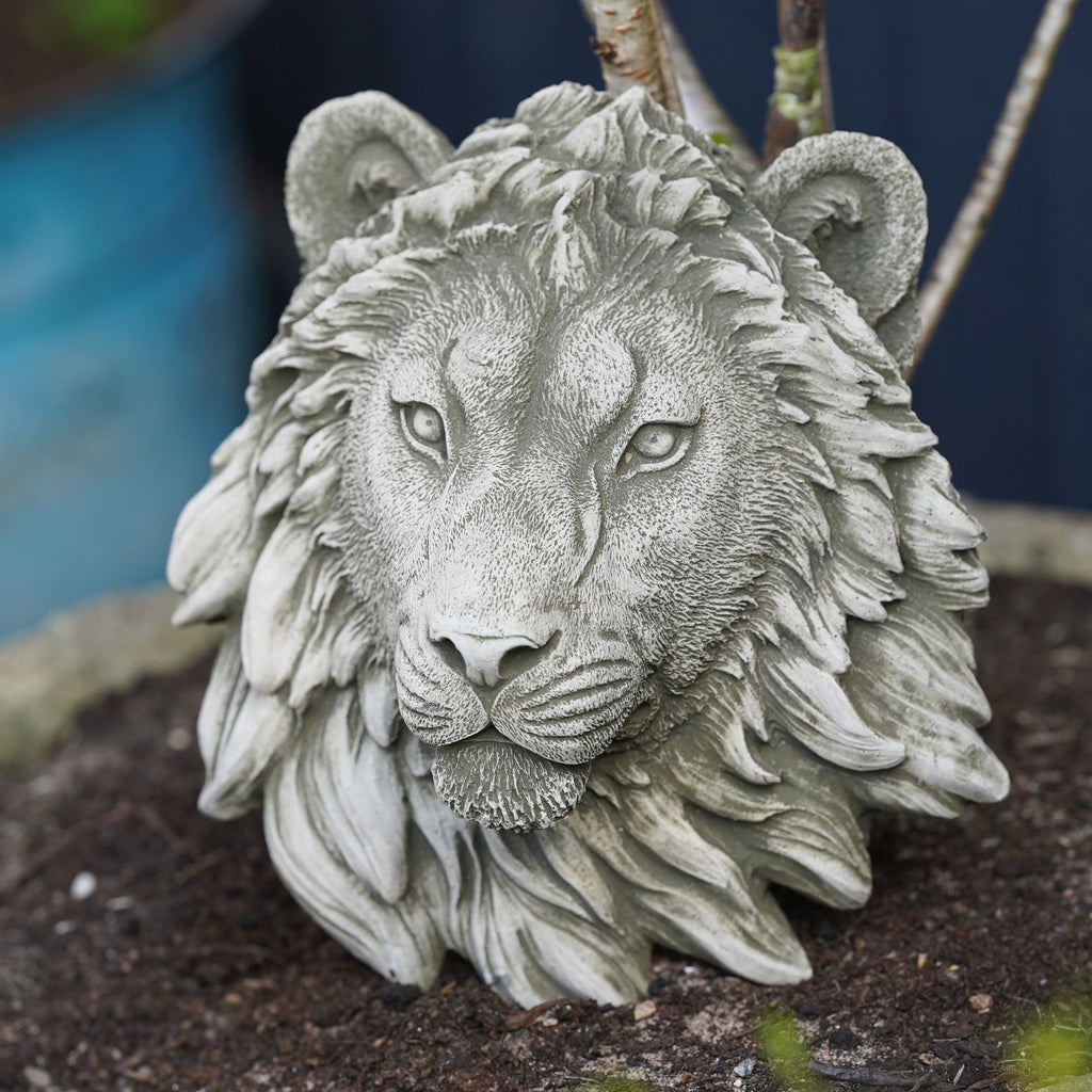 Lion Head Bust Hanging Plaque Stone