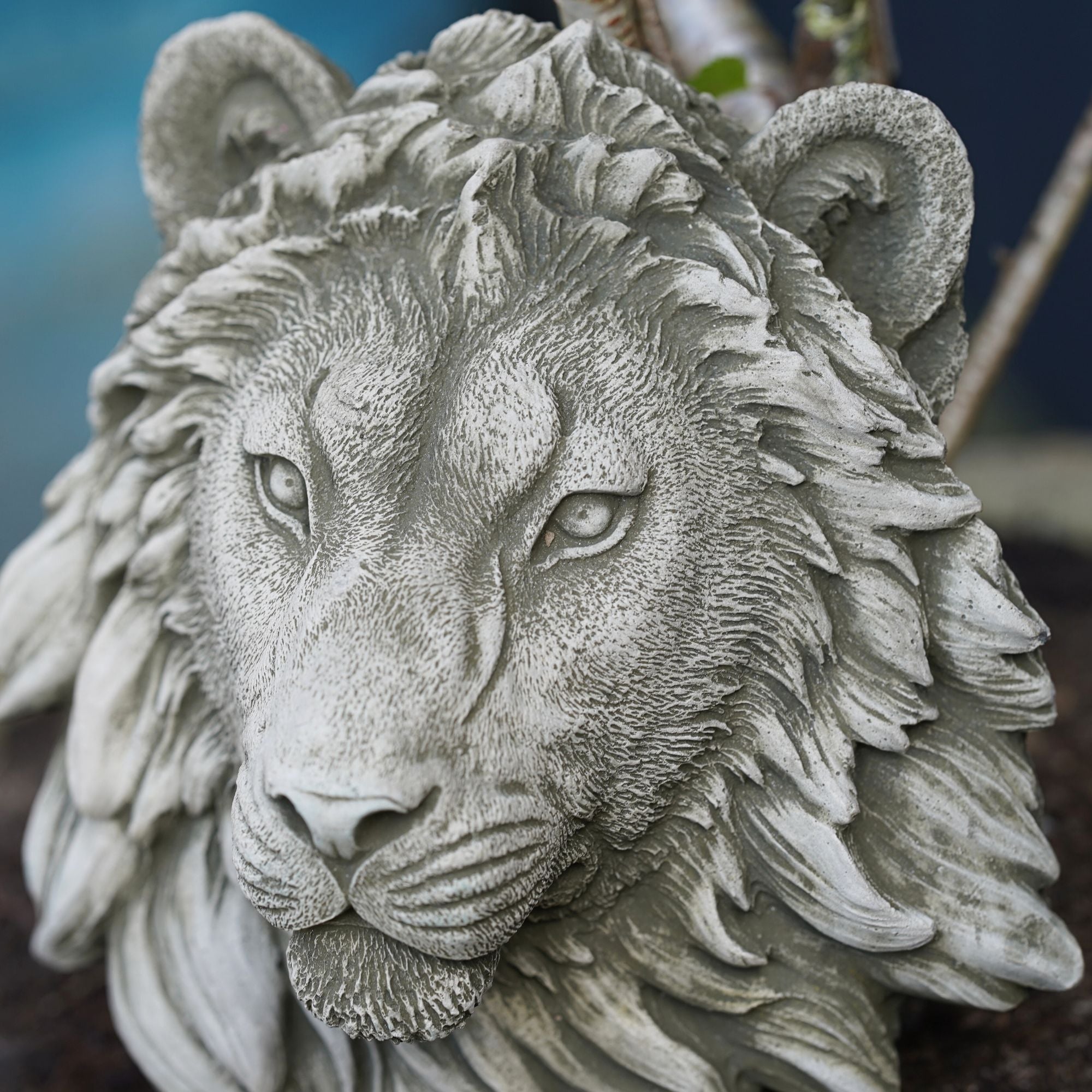 Lion Head Bust Hanging Plaque Stone