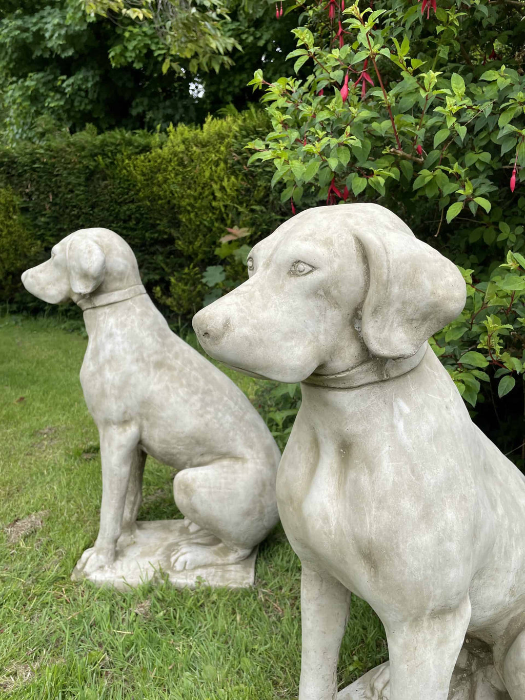 Stone Pair of Hunting Dog/Pointer Statues