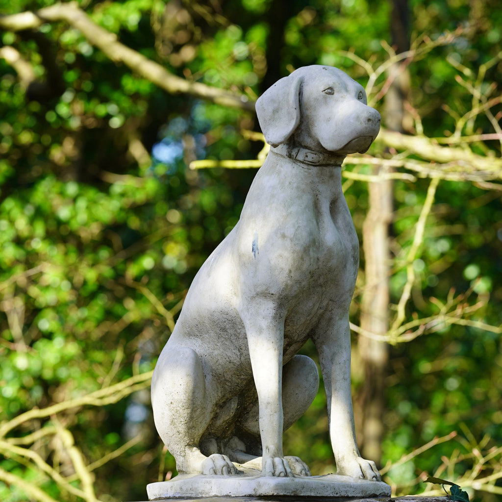 Stone Hunting Dog/Pointer Statue (Single)