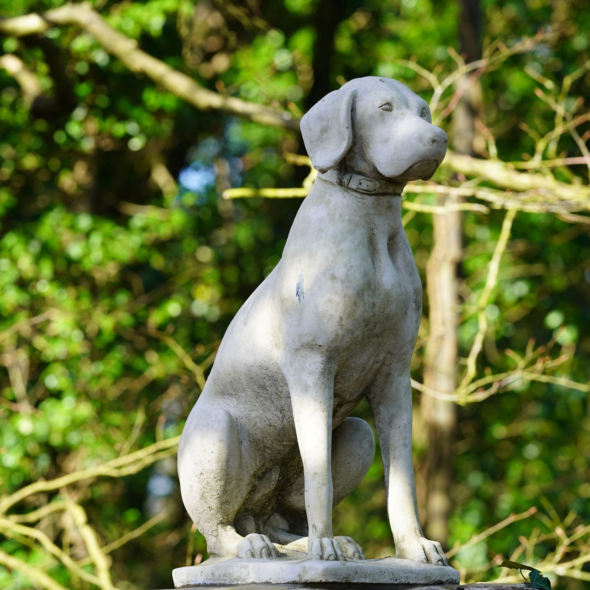 Stone Hunting Dog/Pointer Statue (Single)