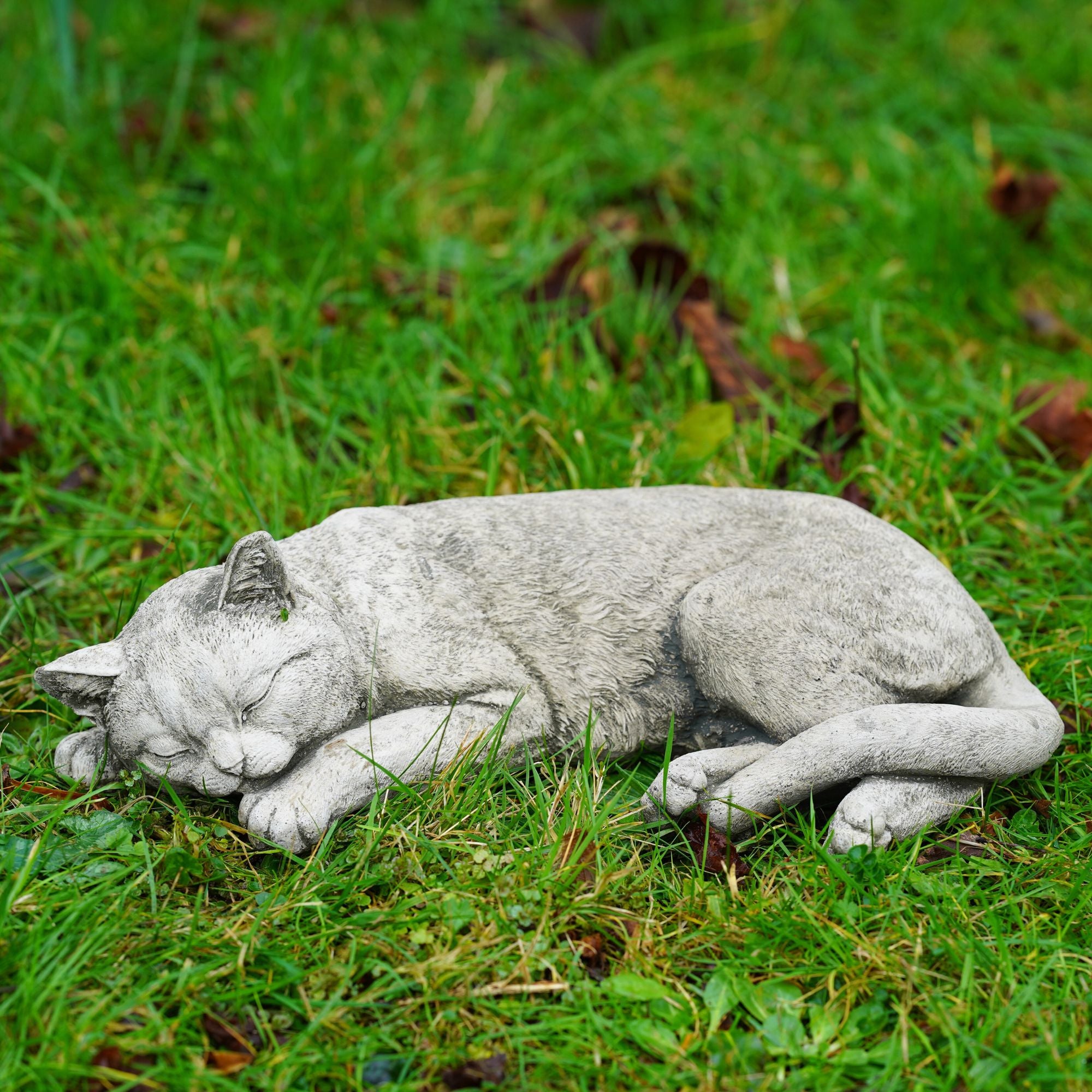 Resting Cat Statue