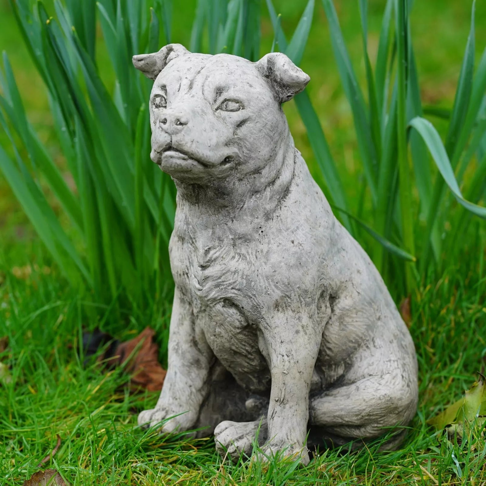 Staffordshire Bull Terrier Dog Stone Statue