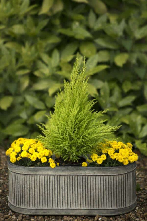 Ribbed Metal Pot Planters Set or Single