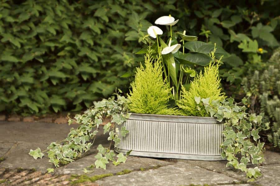 Ribbed Metal Pot Planters Set or Single