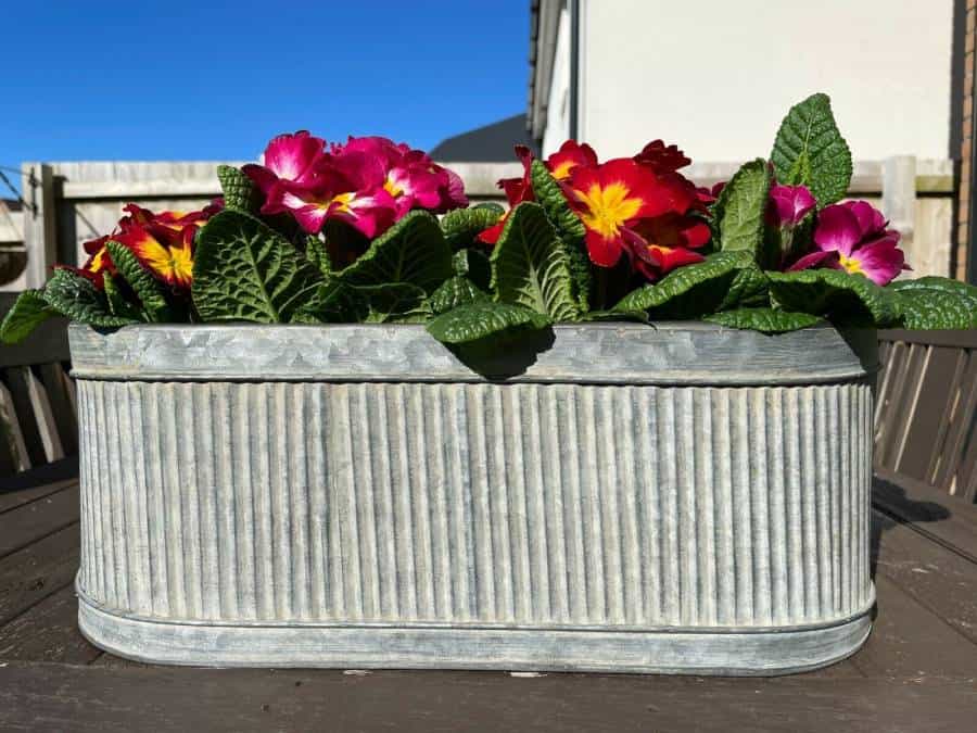 Ribbed Metal Pot Planters Set or Single