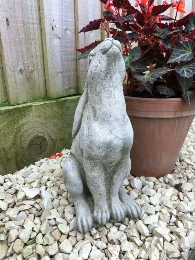 Rabbit Gazing Hare Stone Statue