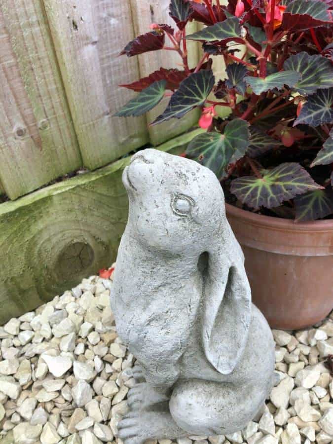 Rabbit Gazing Hare Stone Statue