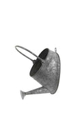 Galvanised Zinc Watering Can Hanging Wall Planter Pot