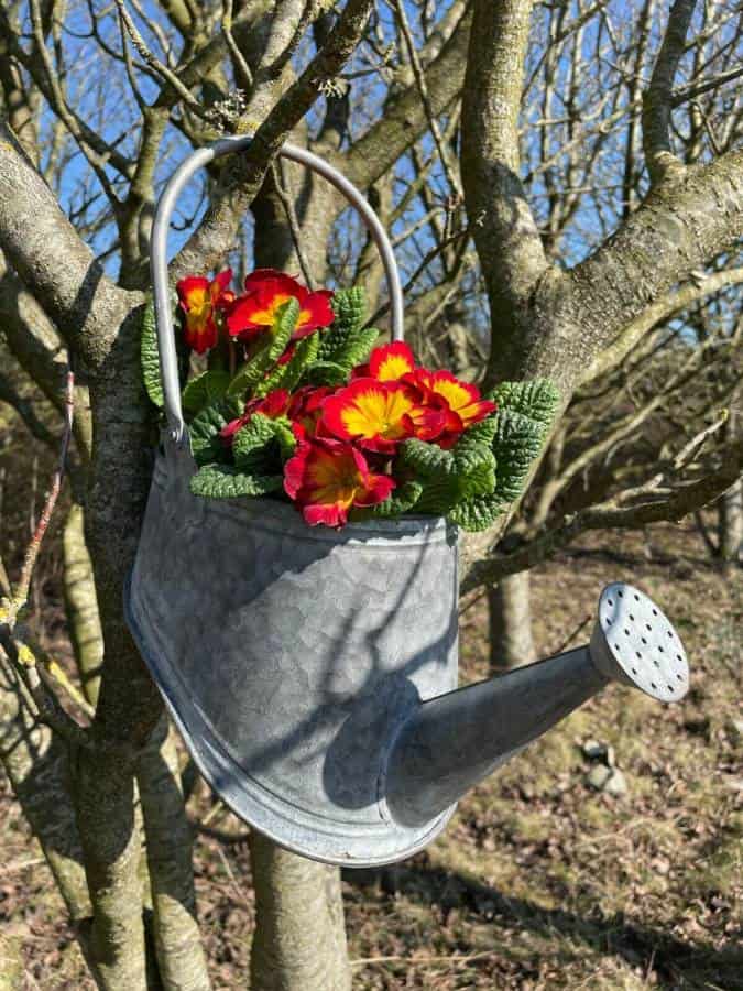 Galvanised Zinc Watering Can Hanging Wall Planter Pot