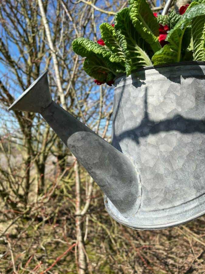 Galvanised Zinc Watering Can Hanging Wall Planter Pot