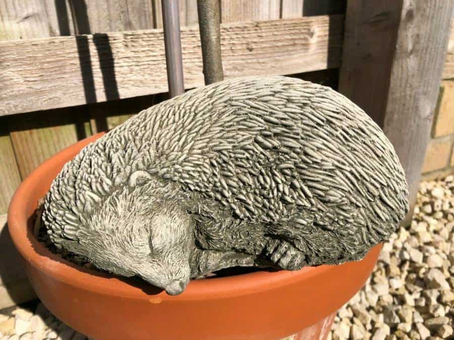 Sleeping Hedgehog Stone Statue