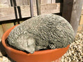 Sleeping Hedgehog Stone Statue