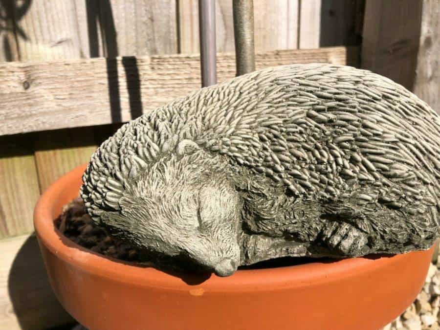 Sleeping Hedgehog Stone Statue