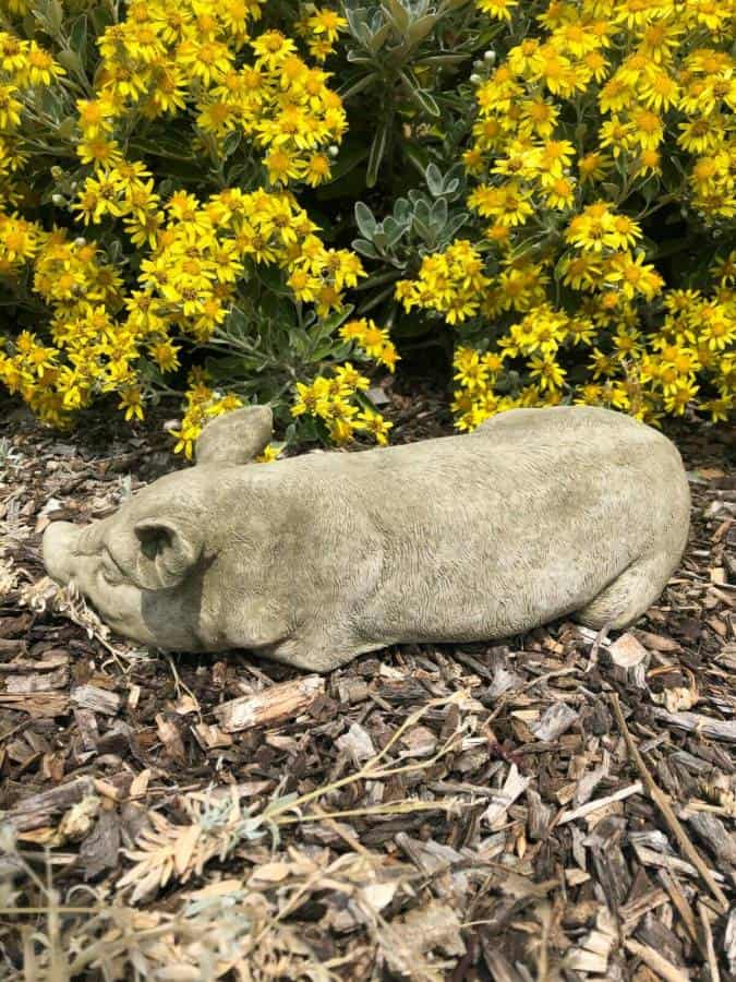Reconstituted Stone Sleeping Farm Pig Statue | Vintage Concrete Garden Ornament