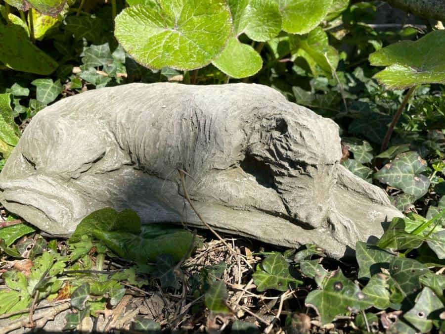 Laying Lurcher Stone Statue
