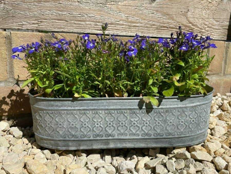 Galvanised Zinc Floral Metal Planter | Garden Flower Pots Trough Set of 3 OR 1