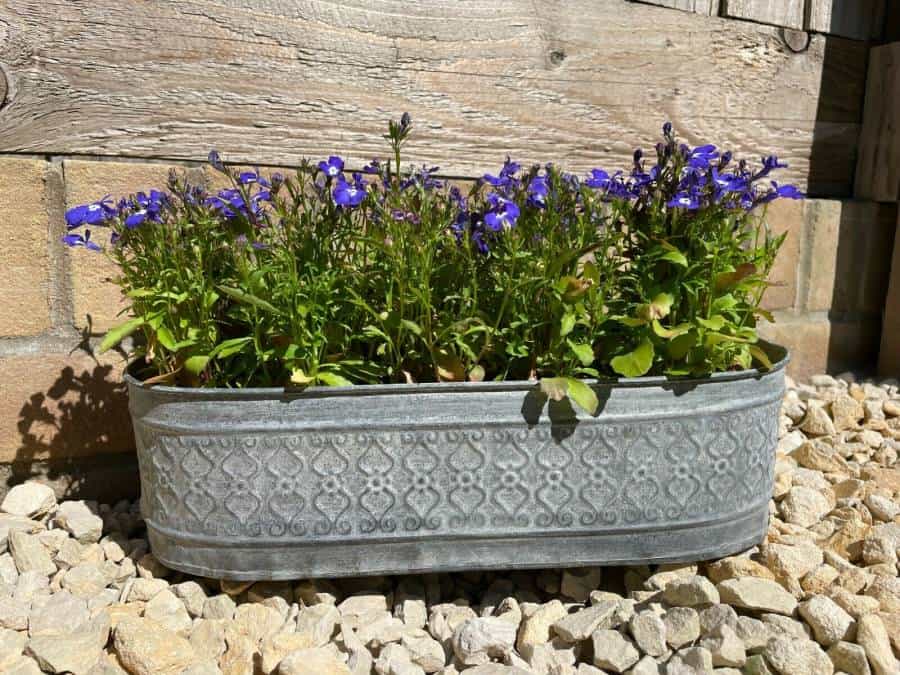 Galvanised Zinc Floral Metal Planter | Garden Flower Pots Trough Set of 3 OR 1