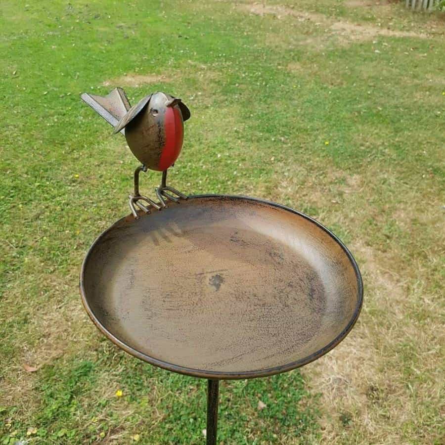 A dish of metal with long stick in the ground. Perched on top sits a robin with a red breast. Situated in the grassy garden of a British home