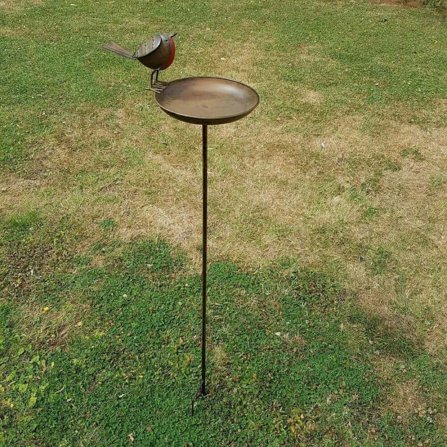 Robin Bird Bath On Tall Spike