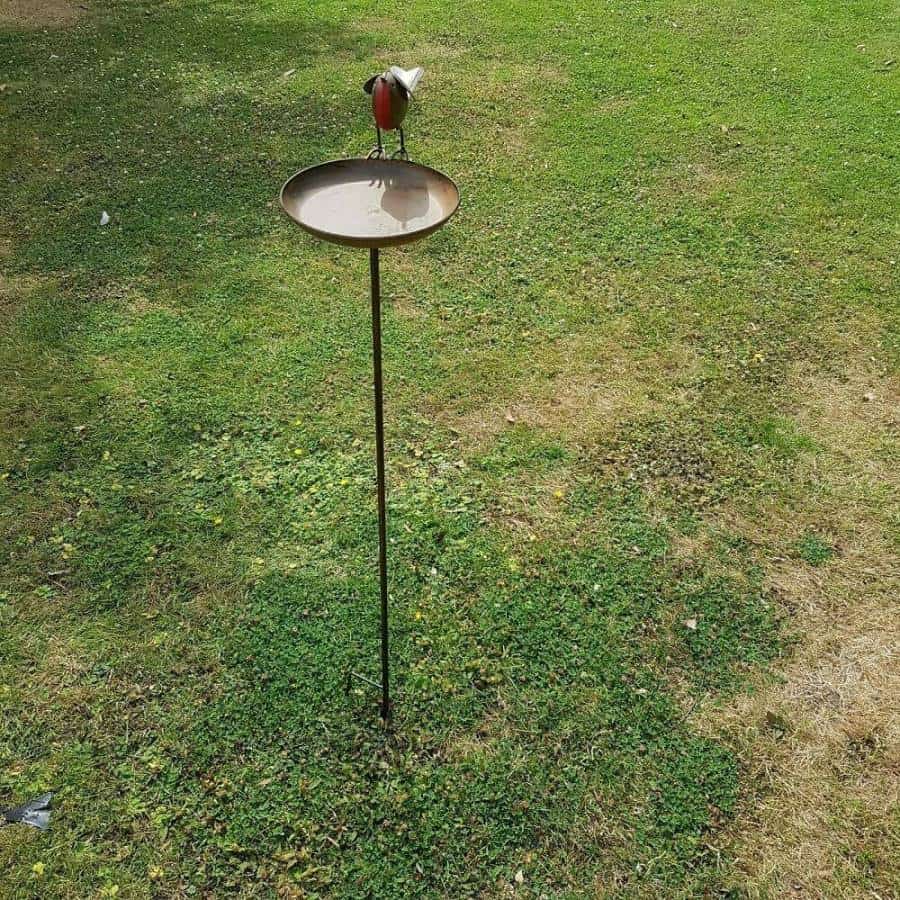 Robin Bird Bath On Tall Spike