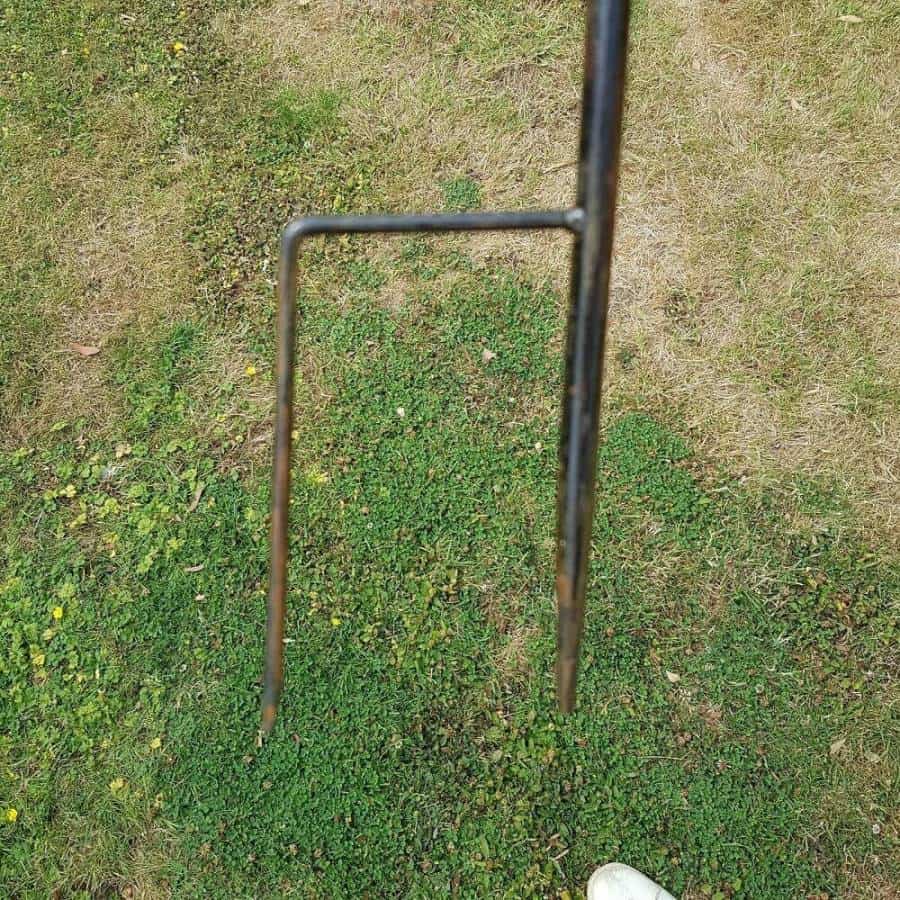 Robin Bird Bath On Tall Spike