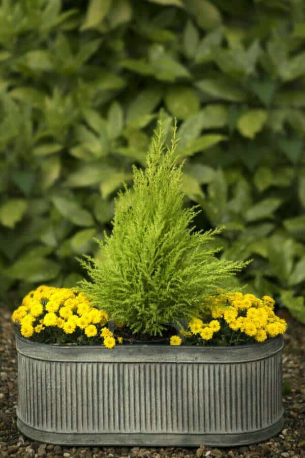 Galvanised Zinc Ribbed 44cm Planter