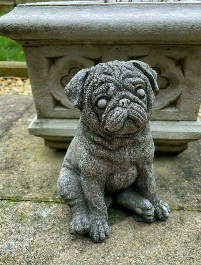 A squishy pug sitting with hind legs sticking out. Situated on the stone flooring of a British garden