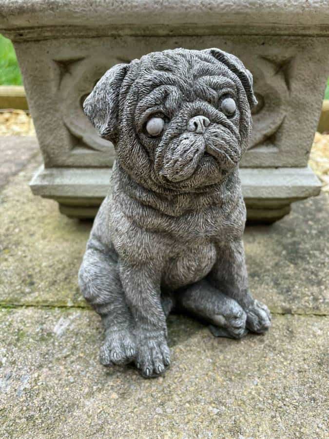 Sitting Pug Stone Statue