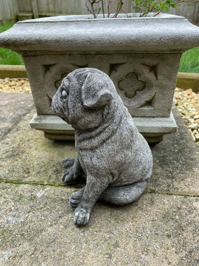 Sitting Pug Stone Statue