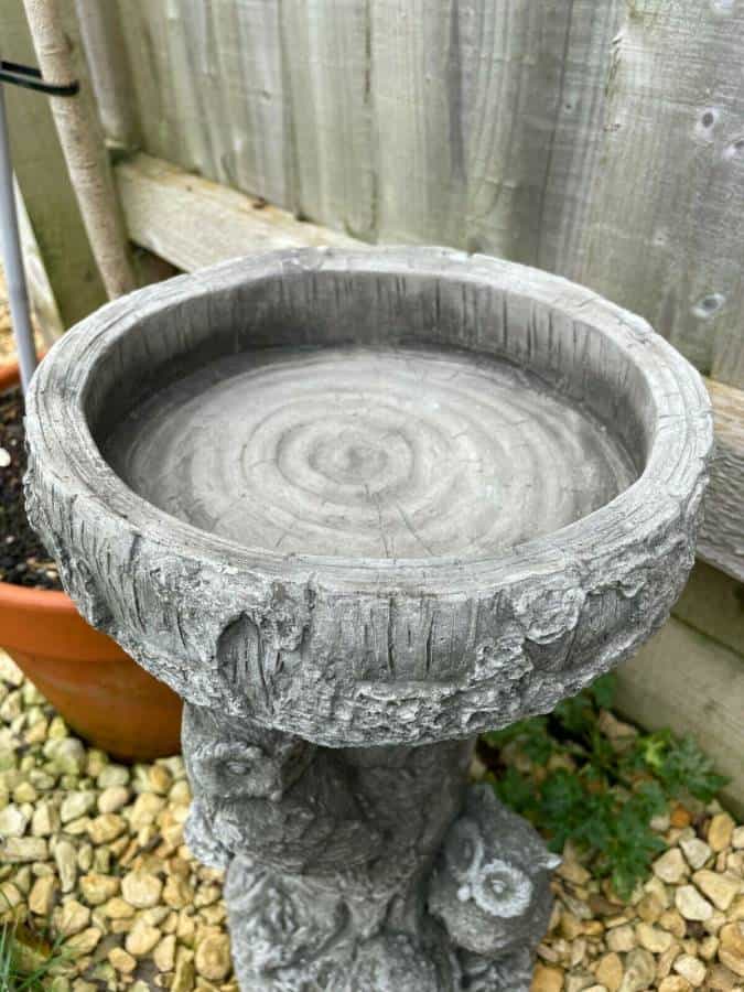 Barn Owl Bird Bath Stone Statue